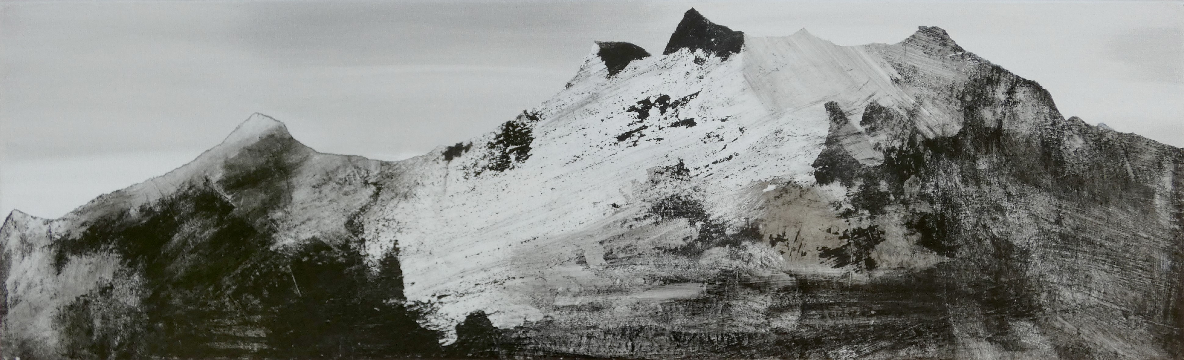 Montagnes et forêts